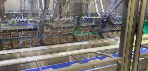 Pet Food Packaging Line2